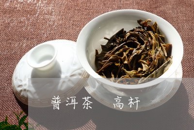 普洱茶 高杆/2023042898111